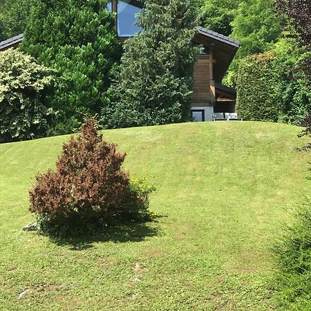 Appartement Sevrier Terrasse Et Jardin 외부 사진